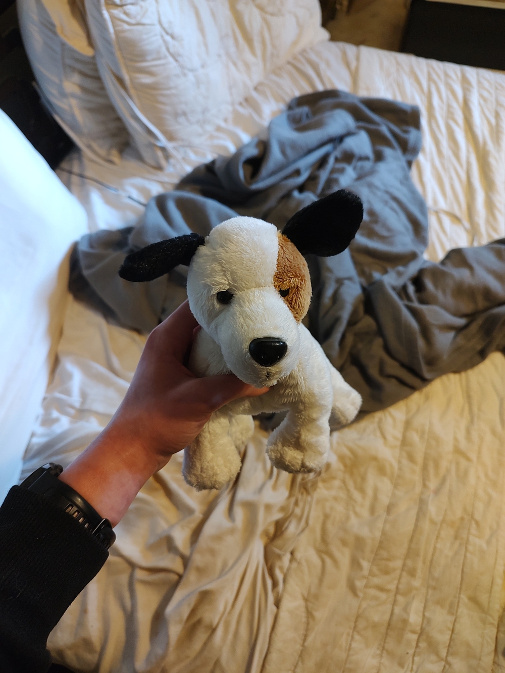 Webkinz Jack Russell